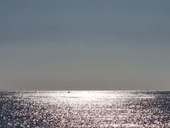 낭만적이고 싶은