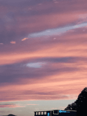 이세계 여행사, 다온누리