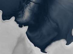 내 이름을 이뤄다 그것을 성좌라 부르더라,