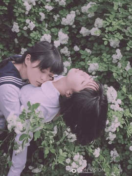 숲이 시작되는 곳