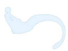 ichor karkros 이코르 카크로스