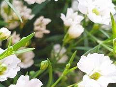 컴으로전체보기라니