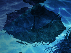 배유빈 女 고양이카페사장