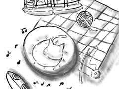 고양이(약간 지저분 함.)