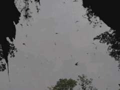 [유호천희] 월하애환 연심금. 01