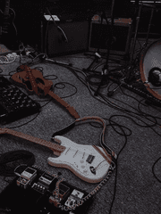 Good morning Sunshine!