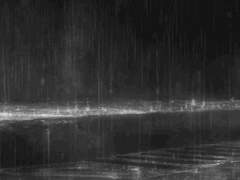 사건 발생 후 ■■일 ■■시간 ■■분.