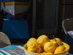 [련중길] 레몬과 마멀레이드 J