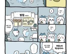 치이카와 번역- 야간채집3