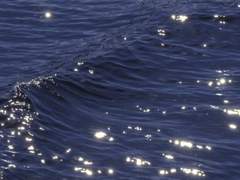 앓던 여름의 잔재