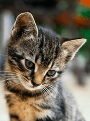 [마블 X 전독시] 마블 세계에서 이야기의 신이 구원하는 방법