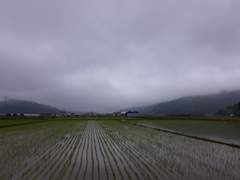 왜? 그리 아등바등대노!