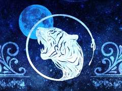 로이아 드림 성향