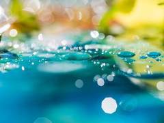 [마도조사] 위영의 꿈