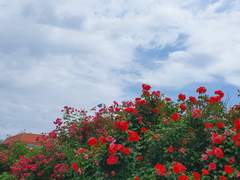 다복팔당多福八堂