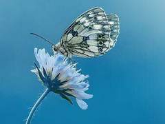 천천히 나를 따라