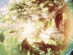 01. 천리길도 한걸음부터 (1)