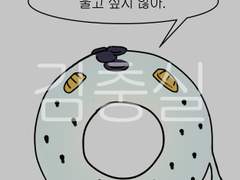 부차라티 도넛 투명포카