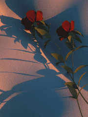 그 어떤 일이 있더라도