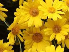 유민아 | 26 | 여성