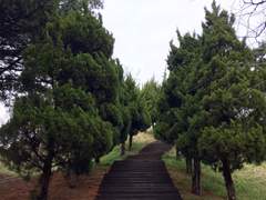 [은혼 드림] "같은 색으로 물들고 싶어요."