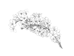 바라건데, 다시 만날 수 있기를