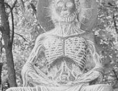 붓다 석가모니 / 부처님 핵심 8가지