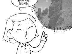 모아이와 으깬 감자