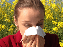 꽃가루 알러지 러브