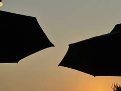 혼자 있는 시간을 외롭다고 생각하지 말아요.