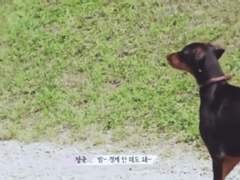 밤이의 관찰일지 3