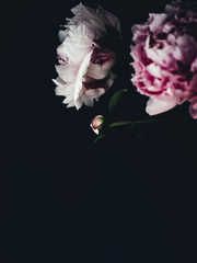 햇살처럼 밝은 아이 [ 나루토 ]