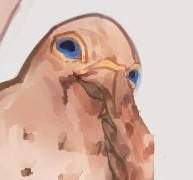 세트른 그림 백업