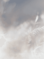 화양연화花樣年華