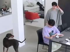 밤이의 관찰일지 5 (完)