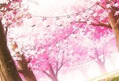 시아와세 미유키 / 19 / XX