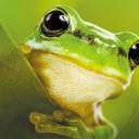 누가누가빨리탈주하나