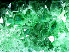 친애하는 할리 쿠퍼에게