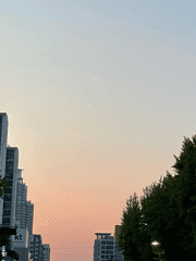 22년 내 생각을 담은 짧은 글