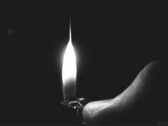 Fleur d’argent Epilogue