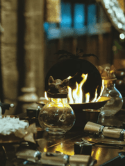 해리엇과 세베루스의 달달한 일상