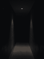 죽음이 깔린 복도