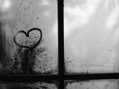 내 망한 짝사랑에 대하여 (7)