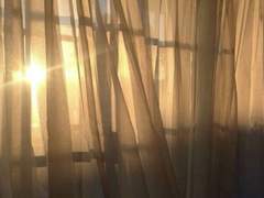 뭐 별일 없겠지.