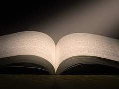 자현 | 전지적 독자 시점