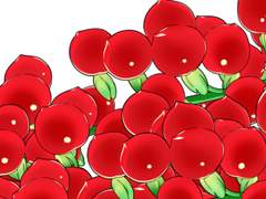 블러드 베리 브러쉬