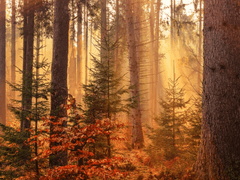 [ Ἥλιος / ♂ / 16 ]