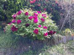 바람따라 휘이이 가련다!