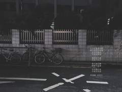 오늘밤은 꽃을 안고 주무세요│절화행