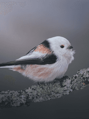 *미스터리 수사반* [사건파일: 월광을 가르는 검] 시리즈